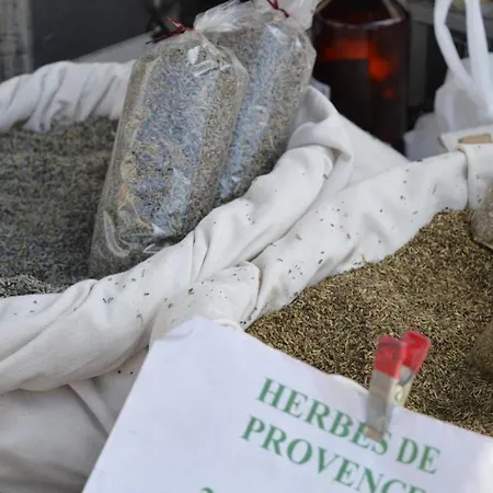 3 Pieces Avec Piscine, Terrasse Et Wifi - - Fr-1-251-561 Apartman Le Lavandou