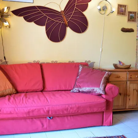 3 Pieces Avec Piscine, Terrasse Et Wifi - - Fr-1-251-561 Apartment Le Lavandou