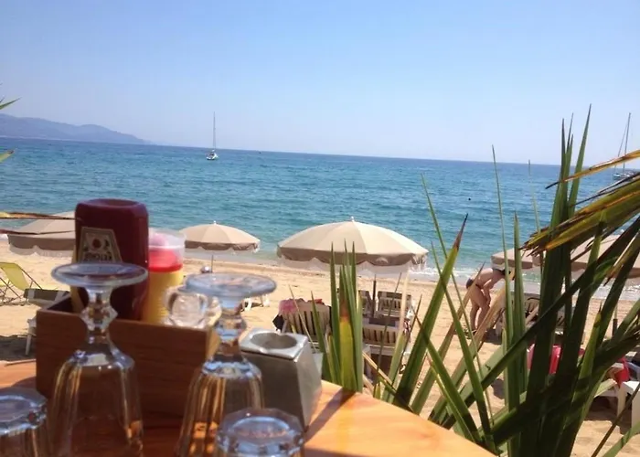 3 Pieces Avec Piscine, Terrasse Et Wifi - - Fr-1-251-561