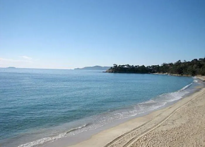 Apartment 3 Pieces Avec Piscine, Terrasse Et Wifi - - Fr-1-251-561 Le Lavandou