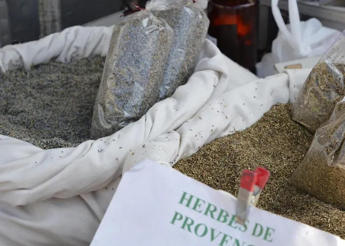 3 Pieces Avec Piscine, Terrasse Et Wifi - - Fr-1-251-561 Apartment Le Lavandou